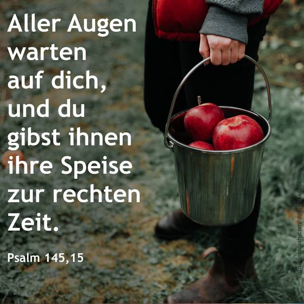 Quelle: unsplash.com/ekiba / fundus-medien.de, Fundus, redaktionell frei verwendbar, 12296